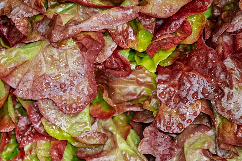 Strawberry Spinach Salad